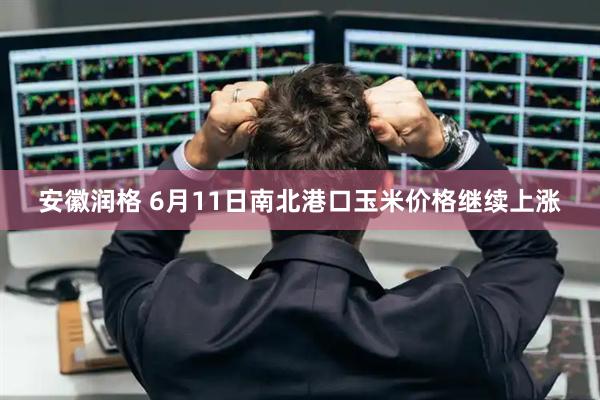 安徽润格 6月11日南北港口玉米价格继续上涨
