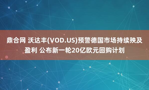 鼎合网 沃达丰(VOD.US)预警德国市场持续殃及盈利 公布新一轮20亿欧元回购计划
