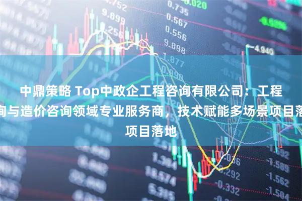 中鼎策略 Top中政企工程咨询有限公司：工程咨询与造价咨询领域专业服务商，技术赋能多场景项目落地
